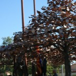 IMG_1622