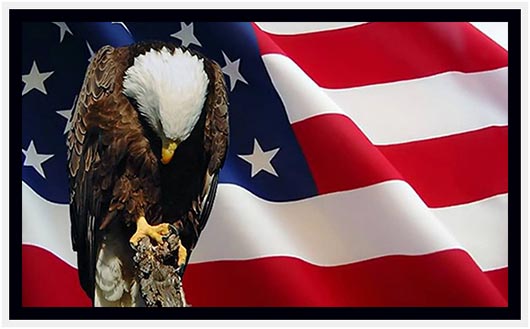 eagle-with-american-flag